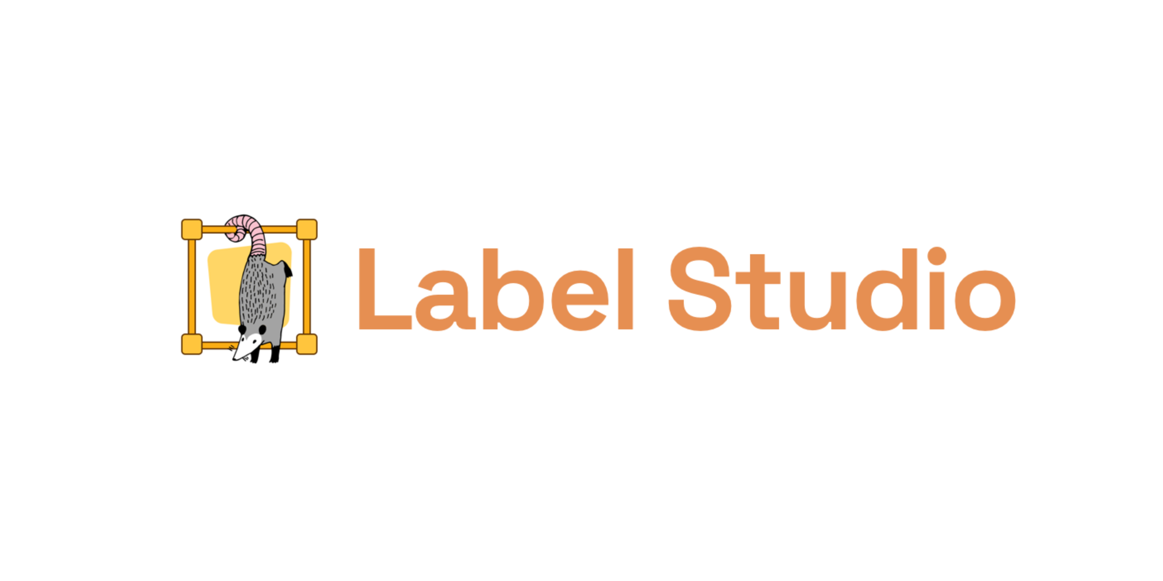 Label Studio – labelling tool we work with